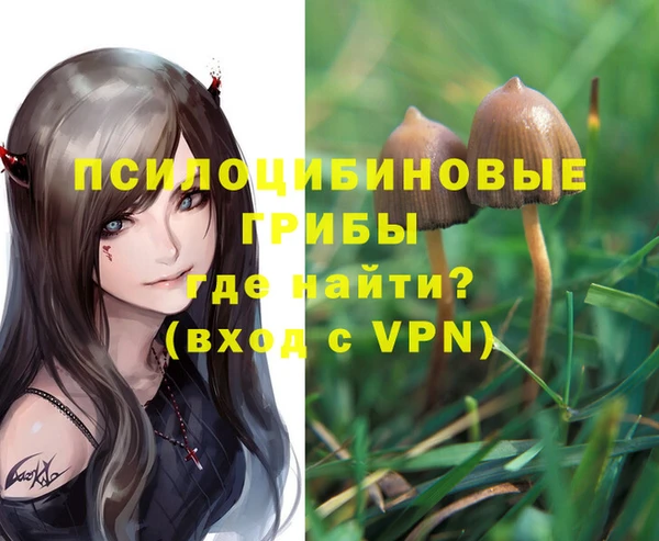 кокс Богородицк